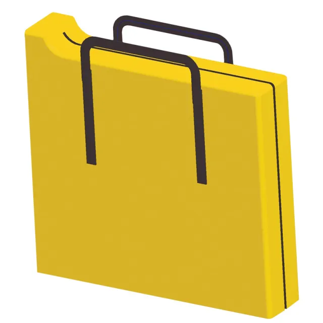 Main picture Sac de transport pour IN-2108 et IN-2101