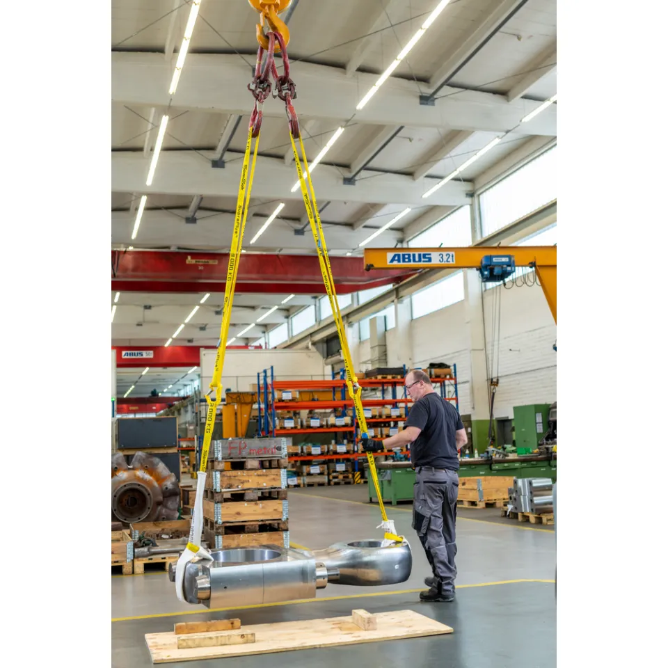 SpanSet Suisse SupraPlus-X 0.5t 0.5m  Picture 8