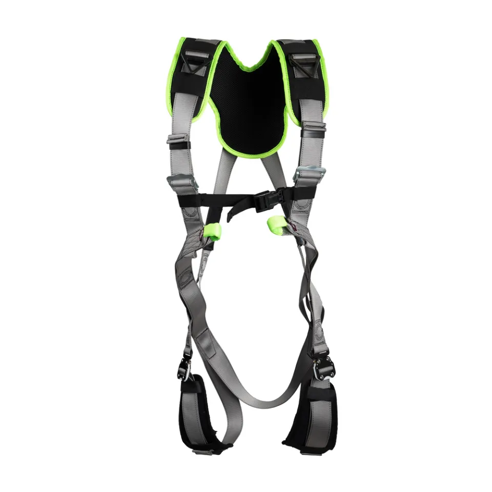 Main picture Sentinel