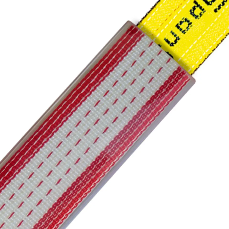 SpanSet Suisse SF2-30  Main picture